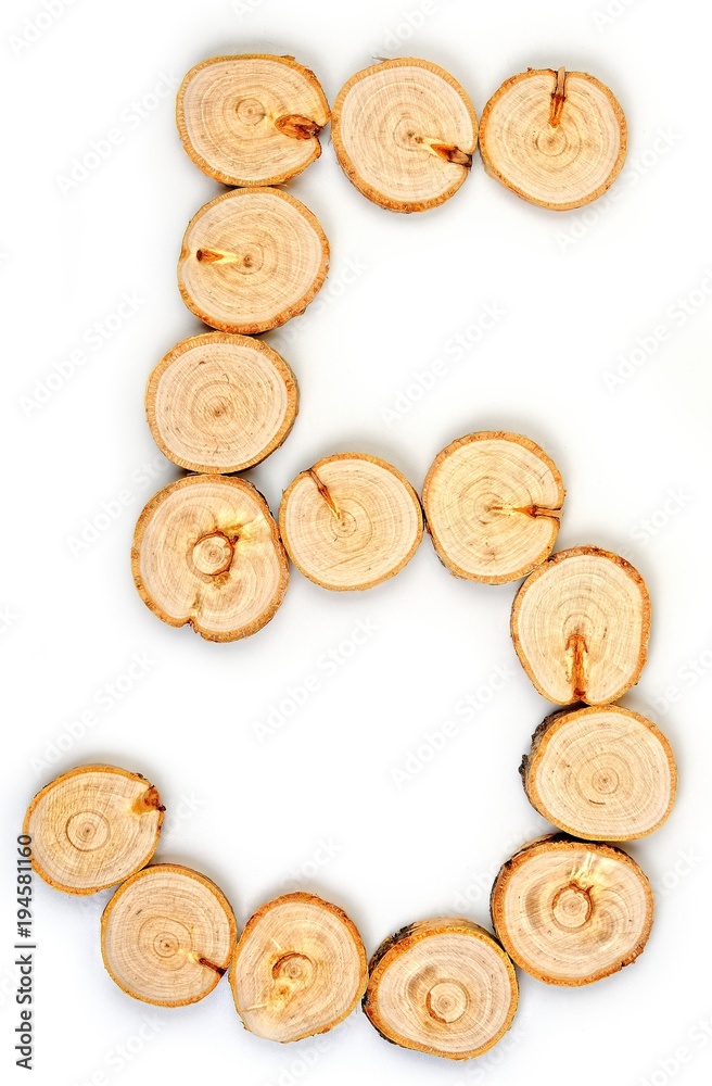 Number made of wood slice on a white background. 5 Number made of wood slice on a white background. 5