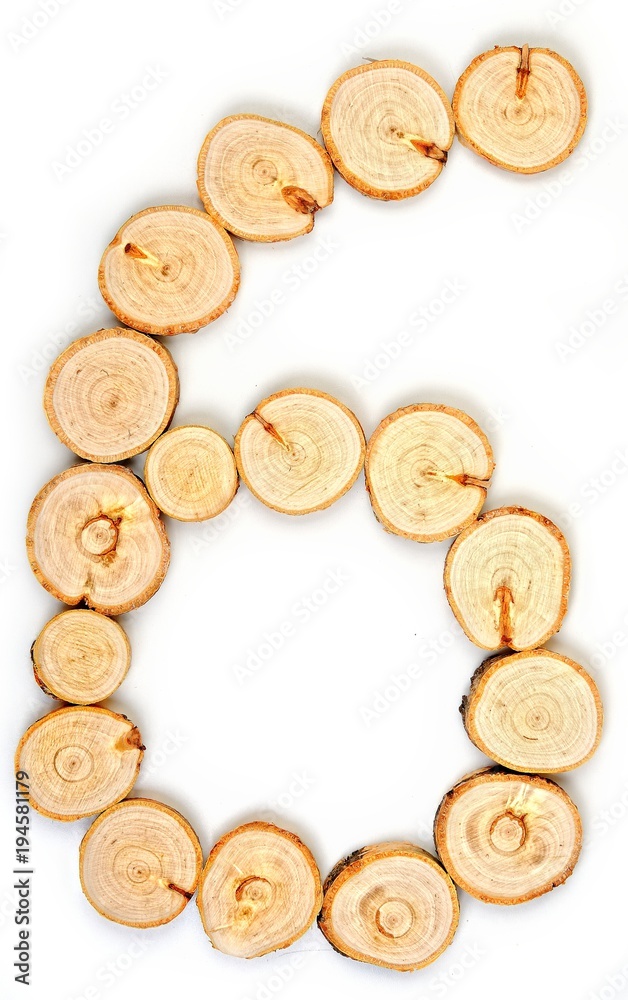 Number made of wood slice on a white background. 6 Number made of wood slice on a white background. 6