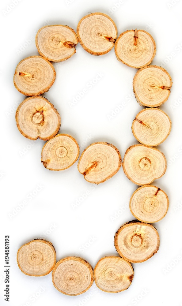 Number made of wood slice on a white background. 9 Number made of wood slice on a white background. 9