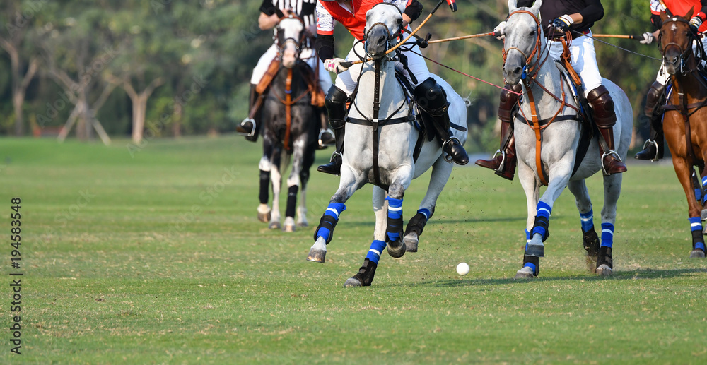 Horse polo players are competing in the polo field. Horse polo players are competing in the polo field.