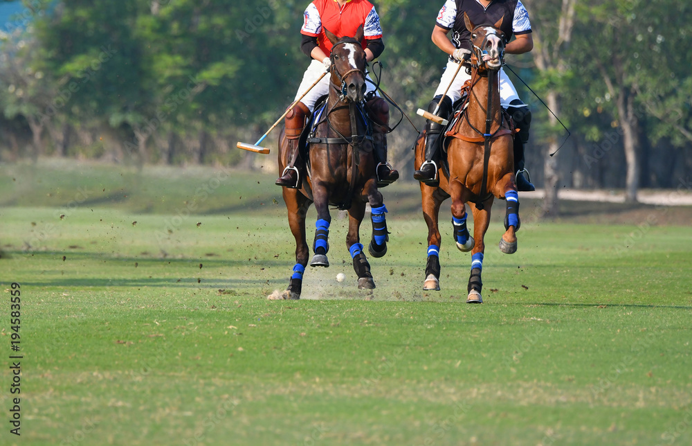 Horse polo  players are competing in the polo field