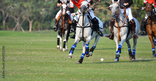 Horse polo players are competing in the polo field. © Hola53