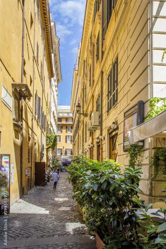 Fototapeta premium Narrow paved street with old yellow houses and many green plants / flowers, Rome, Italy.