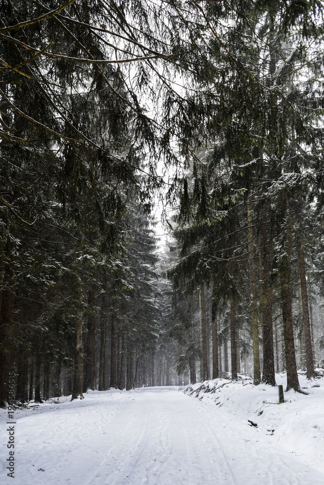 Fototapeta premium Winter road among the forests in the mountains.