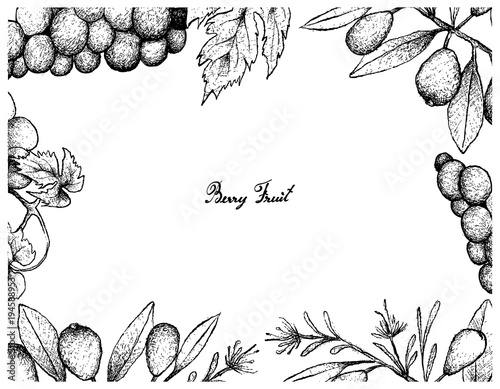 Hand Drawn Frame of Australian Beach Cherries and Wine Grapes photo