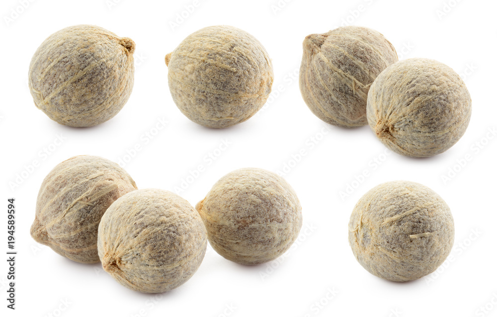 White pepper isolated on white background. Peppercorn collection. Macro. Full depth of field. White pepper isolated on white background. Peppercorn collection. Macro. Full depth of field.