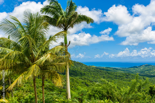 Tropical highland scenery on the Caribbean island of Barbados. It is a paradise destination with a white sand beach and turquoiuse sea.