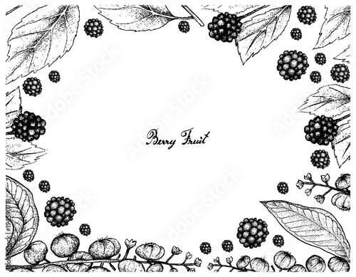 Hand Drawn Frame of American Beautyberry and American Pokeweed