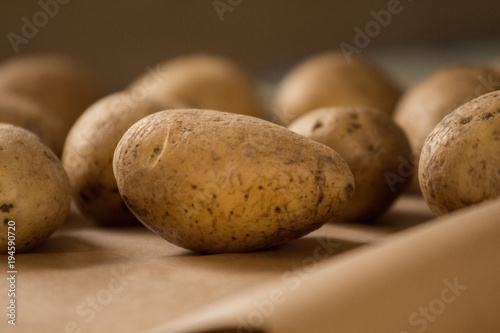 Kartoffeln auf Backpapier photo
