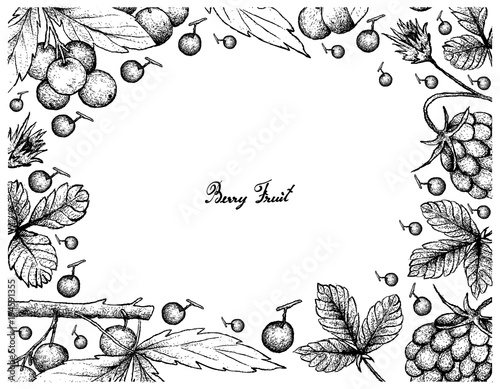 Hand Drawn Frame of Arctic Bramble and Allophylus Edulis Berries