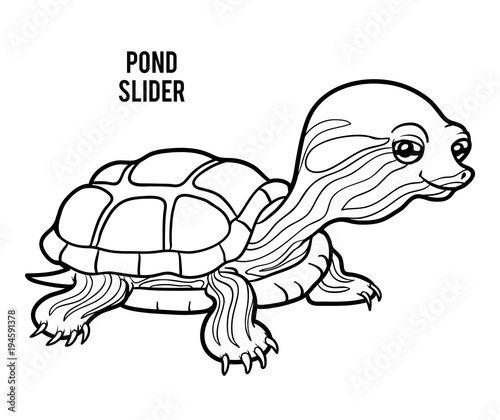 Coloring book, Pond slider