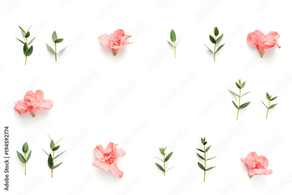 Obraz premium Frame With Soft Pink Azalea Flowers And Green Leaves On White Background