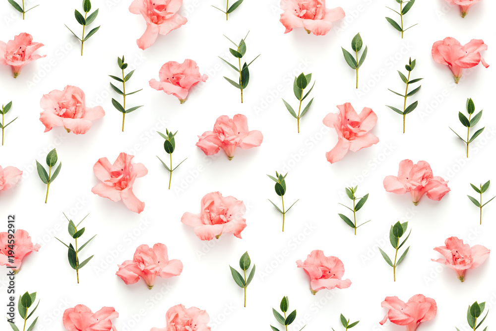 Pattern With Soft Pink Azalea Flowers And Green Leaves On White Background