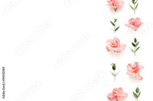 Border With Soft Pink Azalea Flowers And Green Leaves On White Background