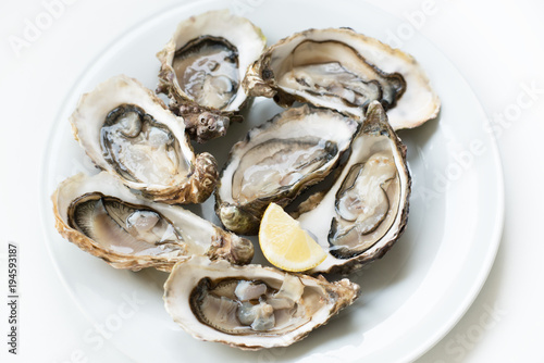 Oysters. Raw fresh oysters with lemon are on white round plate, image isolated, with soft focus. Restaurant delicacy.