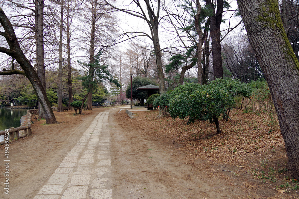 石神井公園の散歩道
