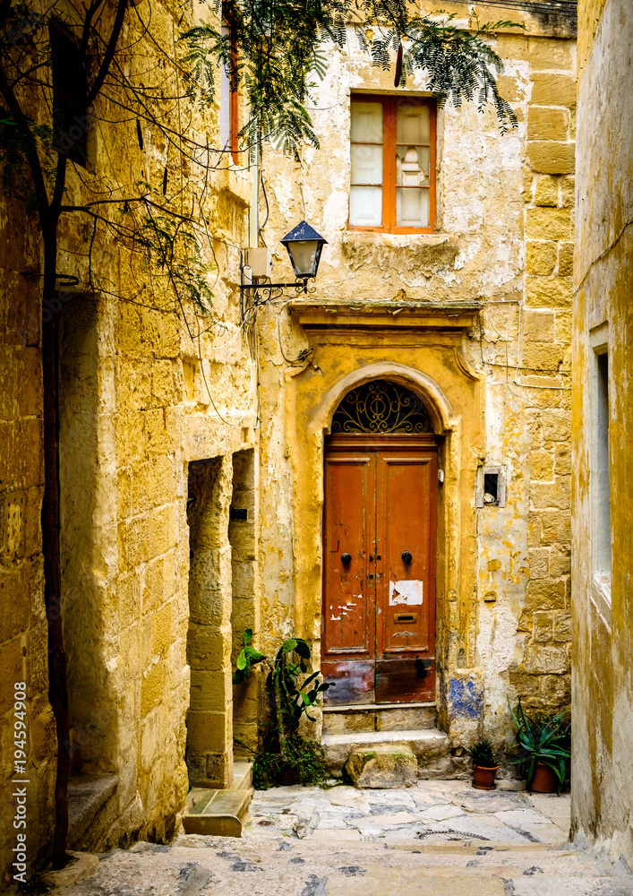 old wooden door