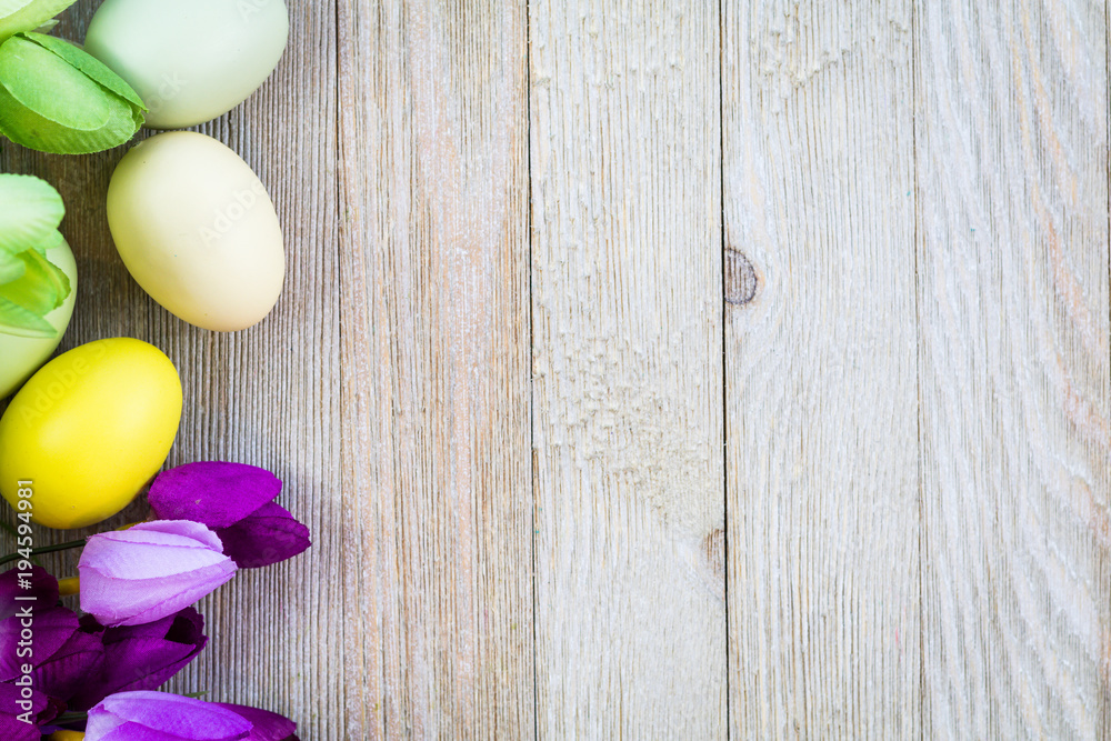 Spring and Easter background with tulips on wooden board, flat lay