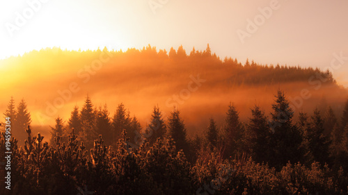 Foggy morning in the mountains with first sun beams. Panoramic shot in warm colors. © pyty
