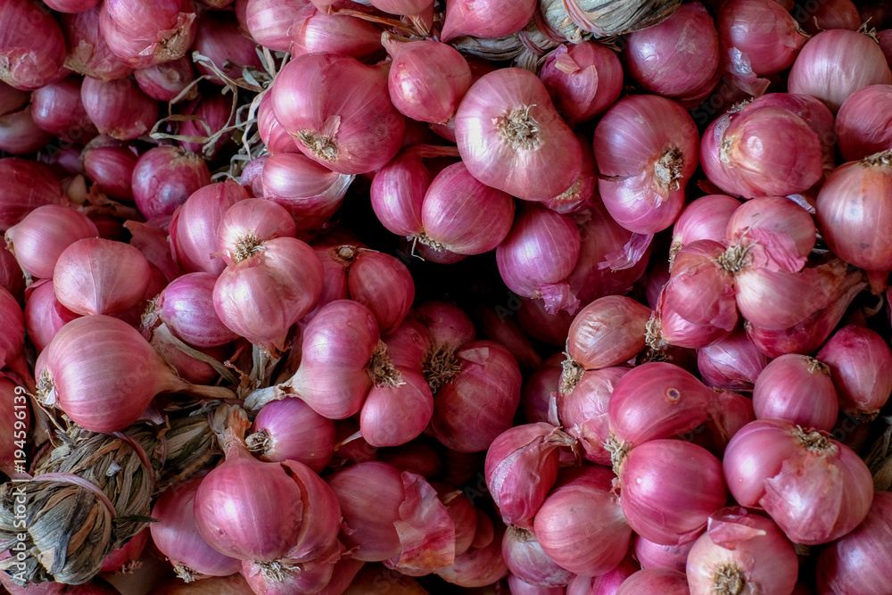 lot of Shallots on the table for raw material lot of Shallots on the table for raw material