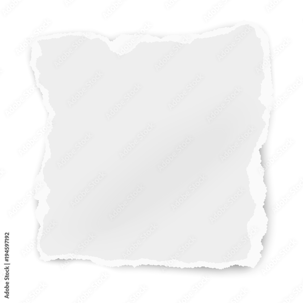 Ripped paper tear isolated on white background. Vector template paper design. Ripped paper tear isolated on white background. Vector template paper design.