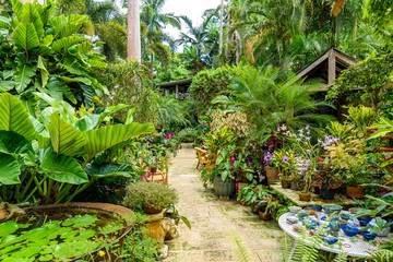 Keuken achterwand Tuin Tropische botanische tuin op Barbados  © Simon Dannhauer