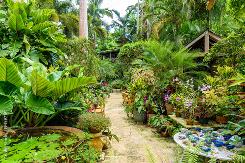 Obraz na plátne Hunte´s Botanical Garden on the Caribbean island of Barbados
