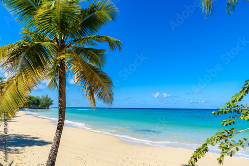 Fototapeta Naklejka Na Ścianę i Meble -  Mullins Beach - tropical beach on the Caribbean island of Barbados. It is a paradise destination with a white sand beach and turquoiuse sea.
