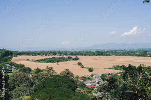 Paddy in Thailand