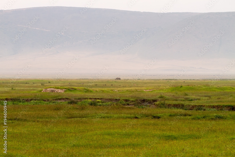 Ngorongoro Conservation Area Landscape and Wildlife