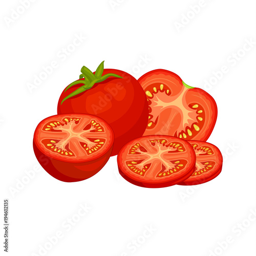 Vector group of tomatoes on a white background. Composition of red juicy tomato fruits. Whole, half and sliced..