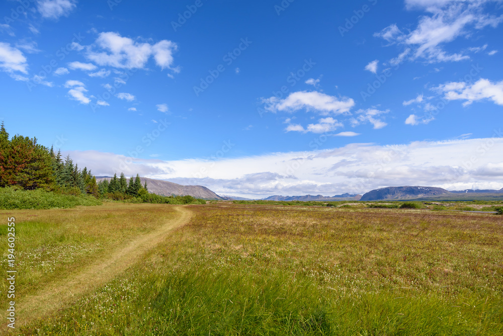scenic view of beautiful green field with blue sky, Iceland