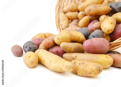 Fresh colorful potatoes red white blue in basket on white background