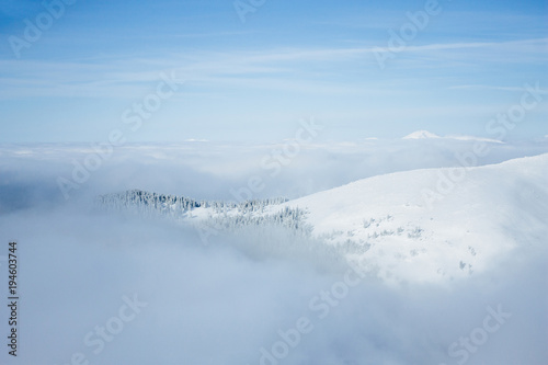 Gorgany mountains snowy forest landscape