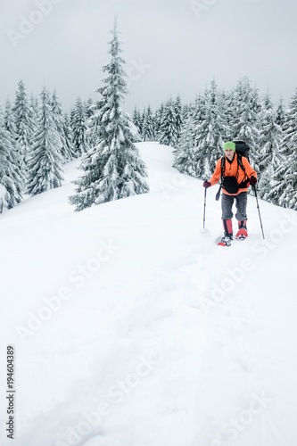 Climber walking in snowy forest of Gorgany mountains © LIGHTFIELD STUDIOS