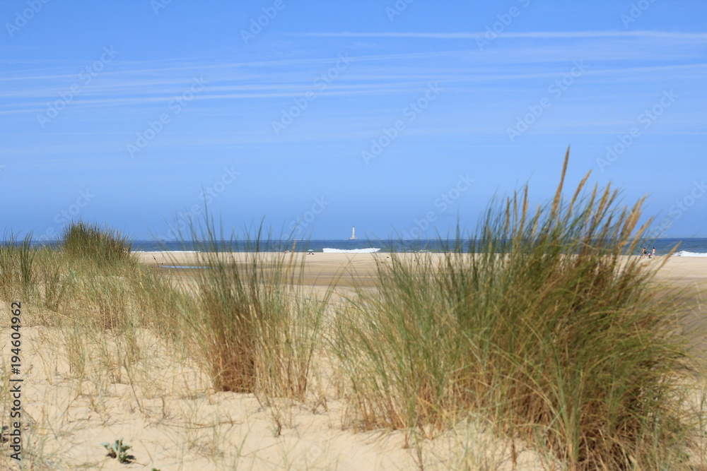 Dunes and grass in Bordeaux