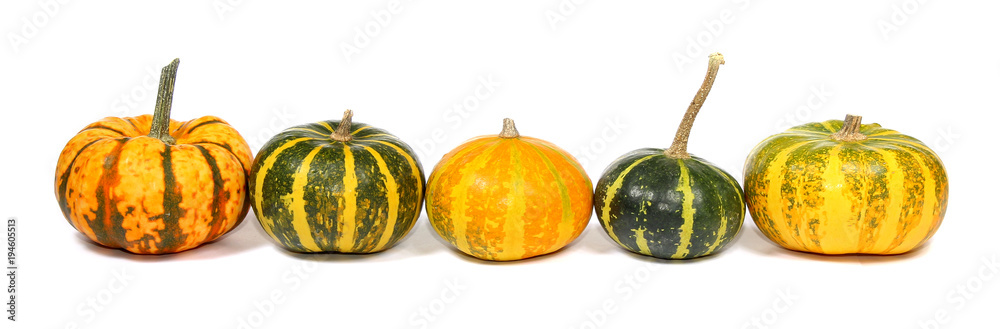Courges, coloquintes, cucurbitacées. Bannière Courges, coloquintes, cucurbitacées. Bannière