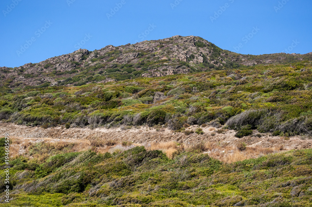 Corsica, 04/09/2017: il paesaggio rilassante con prati verdi, cespugli e montagne nell'entroterra sud dell'isola lungo la strada per Bonifacio
