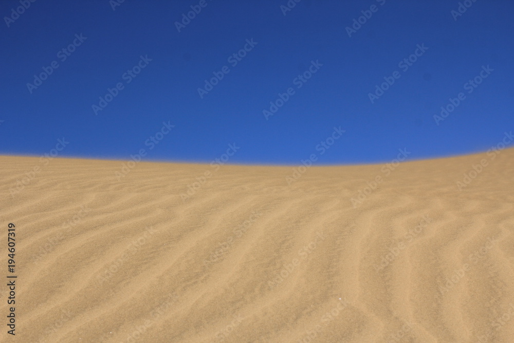 Naklejka premium Blue and yellow in desert