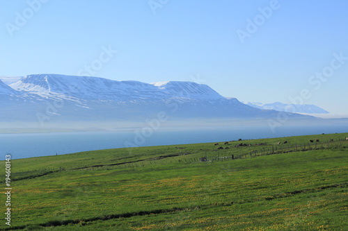 White and green - fjord in Iceland
