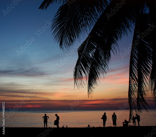 Silhouettes of people under a palm tree on the beach gesticulating swimming  watching the sunset