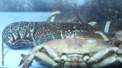 Frozen seafood in a modern restaurant. Live crabs and lobsters in a modern restaurant.