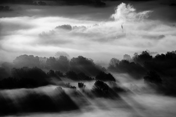 Fotobehang Hotel Bomen in mist zwart-wit  © UMB-O