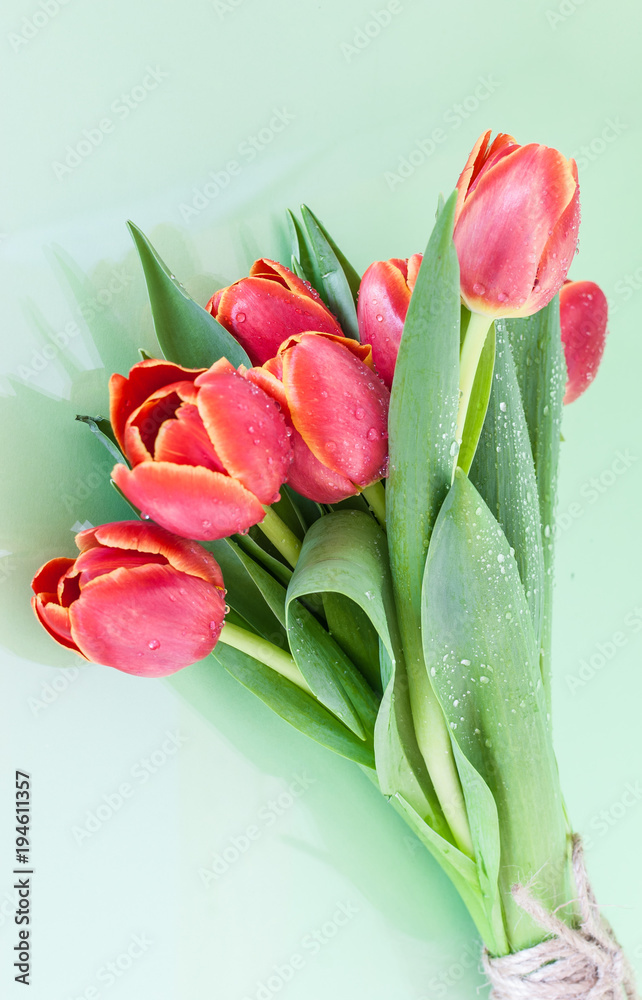 Fototapeta premium Bouquet of red tulips on a light background. A holiday card.