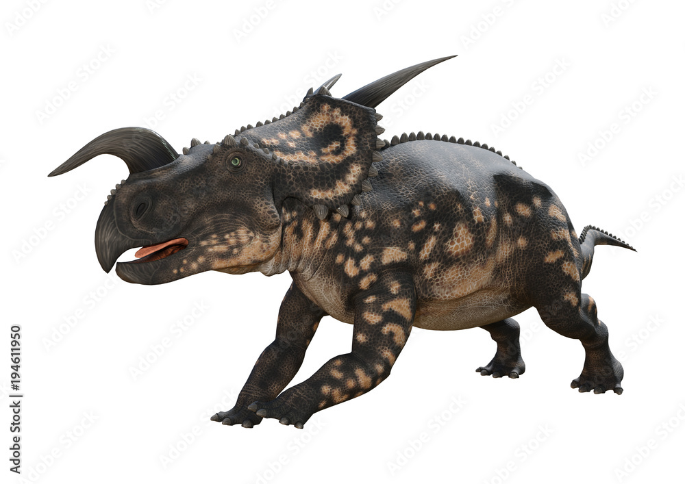 Fototapeta premium 3D Rendering Dinosaur Einiosaurus on White