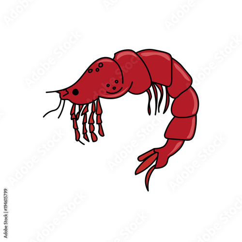 Delicious tender shrimp. Seafood.