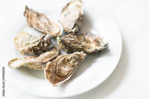Oysters. Raw fresh oysters are on white round plate, image isolated, with soft focus. Restaurant delicacy.