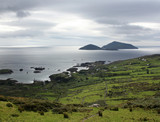 Green landscape along the Ring of Kerry - toned effect. Gloomy seascape in County Kerry - vintage effect. Ireland.