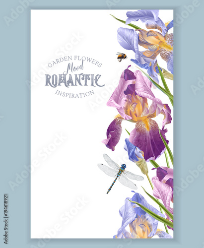 Iris vertical border