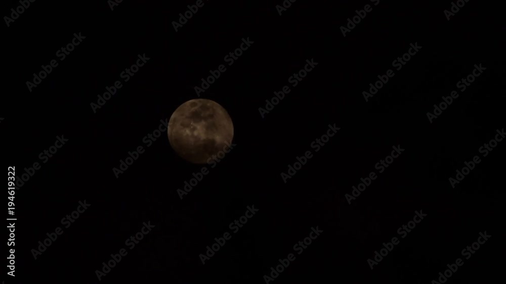 full moon on pines full moon on pines